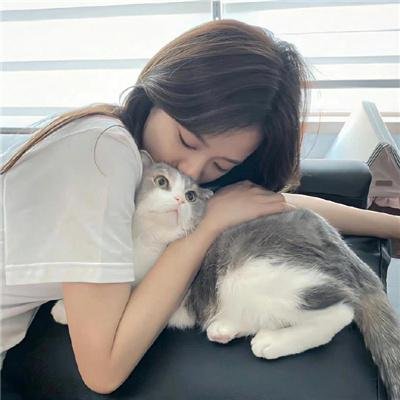 新蝶恋花海报