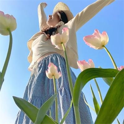 田禹治海报
