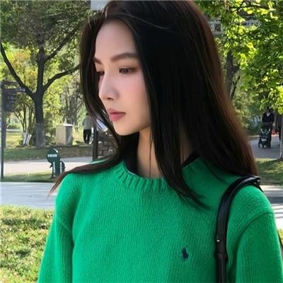 安妮回忆录海报
